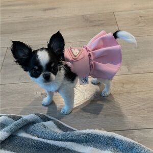 Pink Pawda Dress for Small Dog